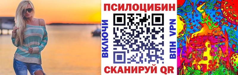 MEGA зеркало  продажа наркотиков  Вязники  Псилоцибиновые грибы Psilocybine cubensis 