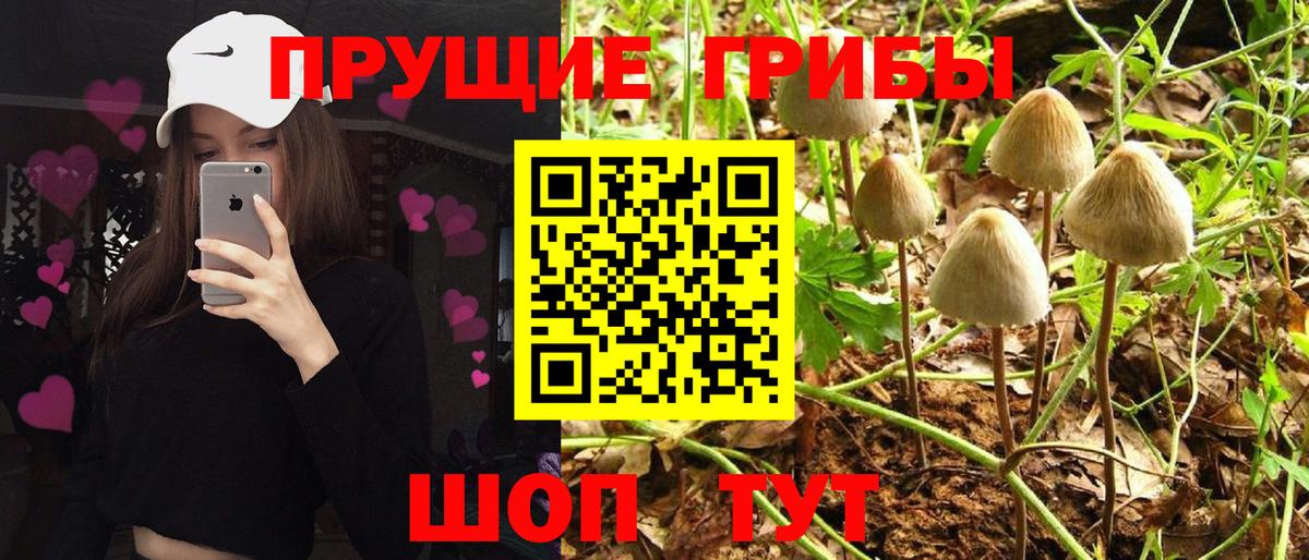 Галлюциногенные грибы мухоморы  Вязники 