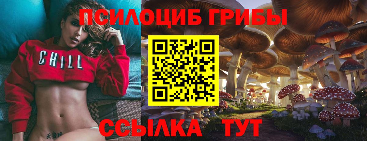 Галлюциногенные грибы Cubensis Вязники