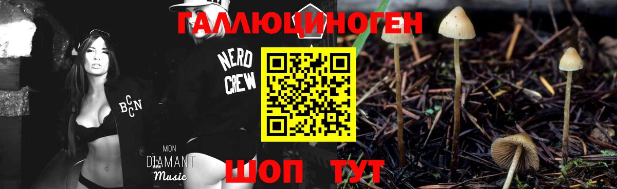 Псилоцибиновые грибы Magic Shrooms Вязники