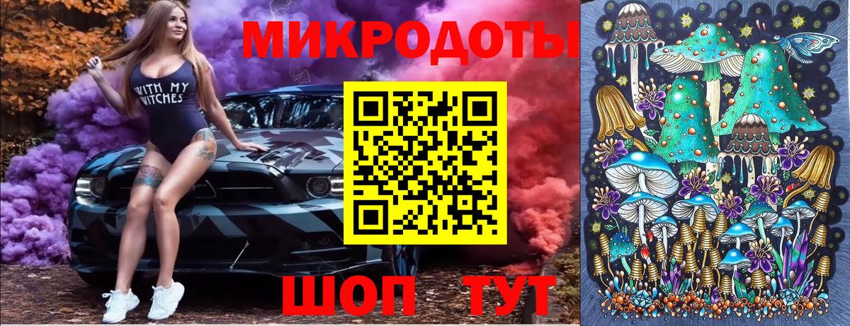 Псилоцибиновые грибы мицелий  Вход с VPN  купить закладку  Вязники  Псилоцибиновые грибы GOLDEN TEACHER 